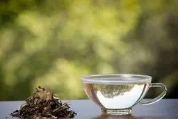  از فواید چای سفید با خبر شوید