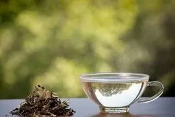  از فواید چای سفید با خبر شوید