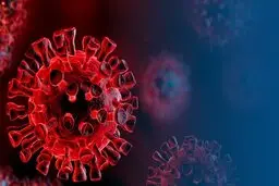 ایذه به وضعیت بحرانی کرونایی نزدیک شده است