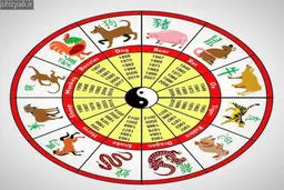 بگو متولد کدوم ماهی تا سنگ خوشانسیت چه جنسی داره | سنگ مخصوص ماهای مختلف