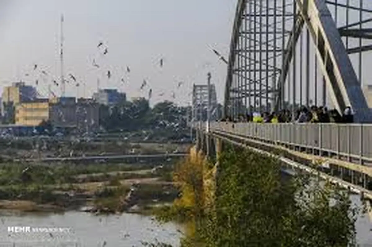  تردد خودروها از پل هلالی اهواز در روزهای جمعه ممنوع شود.
