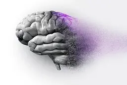 هشدار؛ ۱۵۳ میلیون نفر تا سال ۲۰۵۰ به زوال عقل مبتلا خواهند شد