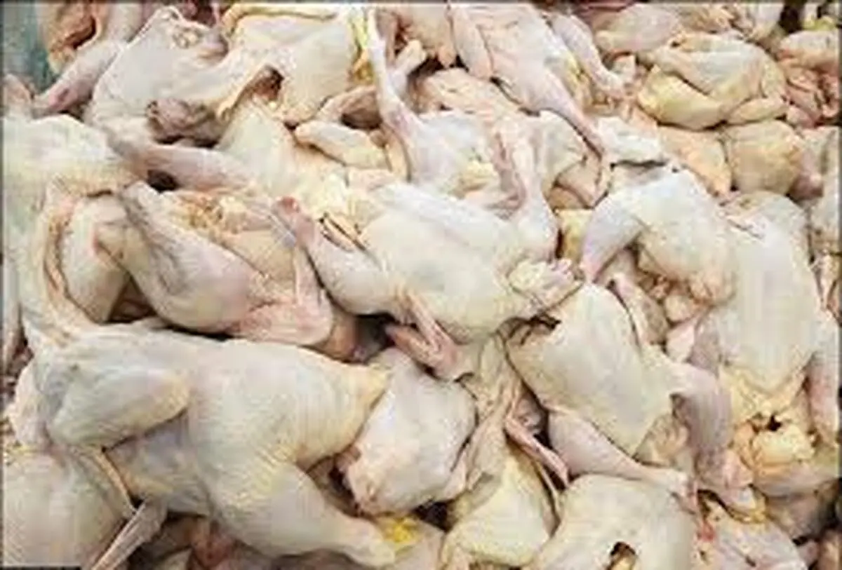 مرغ با قیمتی بیش از ۱۸ هزار و ۵۰۰ تومان تخلف است
