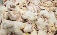 توزیع مرغ ۱۸هزار و ۵۰۰تومانی در بازار، مسکن موقتی است