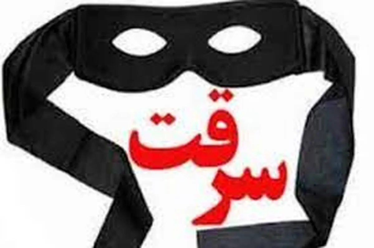  سرقت فقط برای همسایه اتفاق نمی‌افتد+فیلم