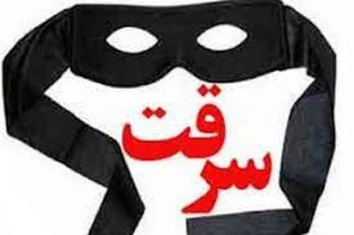  سرقت فقط برای همسایه اتفاق نمی‌افتد+فیلم