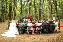 قورباغه در راه است!