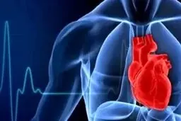 این پروتئین باعث بیماری قلبی می‌شود