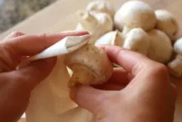 ازین به‌ بعد قارچ هارو اینطوری فریز کن سالم بمونه | ترفند بهترین روش فریز کردن قارچ +ویدئو