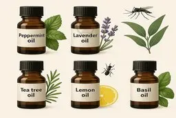 روش‌های طبیعی برای دفع حشرات بدون استفاده از مواد شیمیایی | تمام حشرات خونه رو برای همیشه ریشه‌کن کن