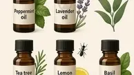 روش‌های طبیعی برای دفع حشرات بدون استفاده از مواد شیمیایی | تمام حشرات خونه رو برای همیشه ریشه‌کن کن