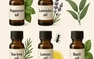 روش‌های طبیعی برای دفع حشرات بدون استفاده از مواد شیمیایی | تمام حشرات خونه رو برای همیشه ریشه‌کن کن