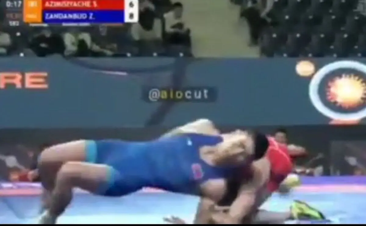 سنجاب پرنده کار دست آزادکار ایرانی داد!+ویدئو