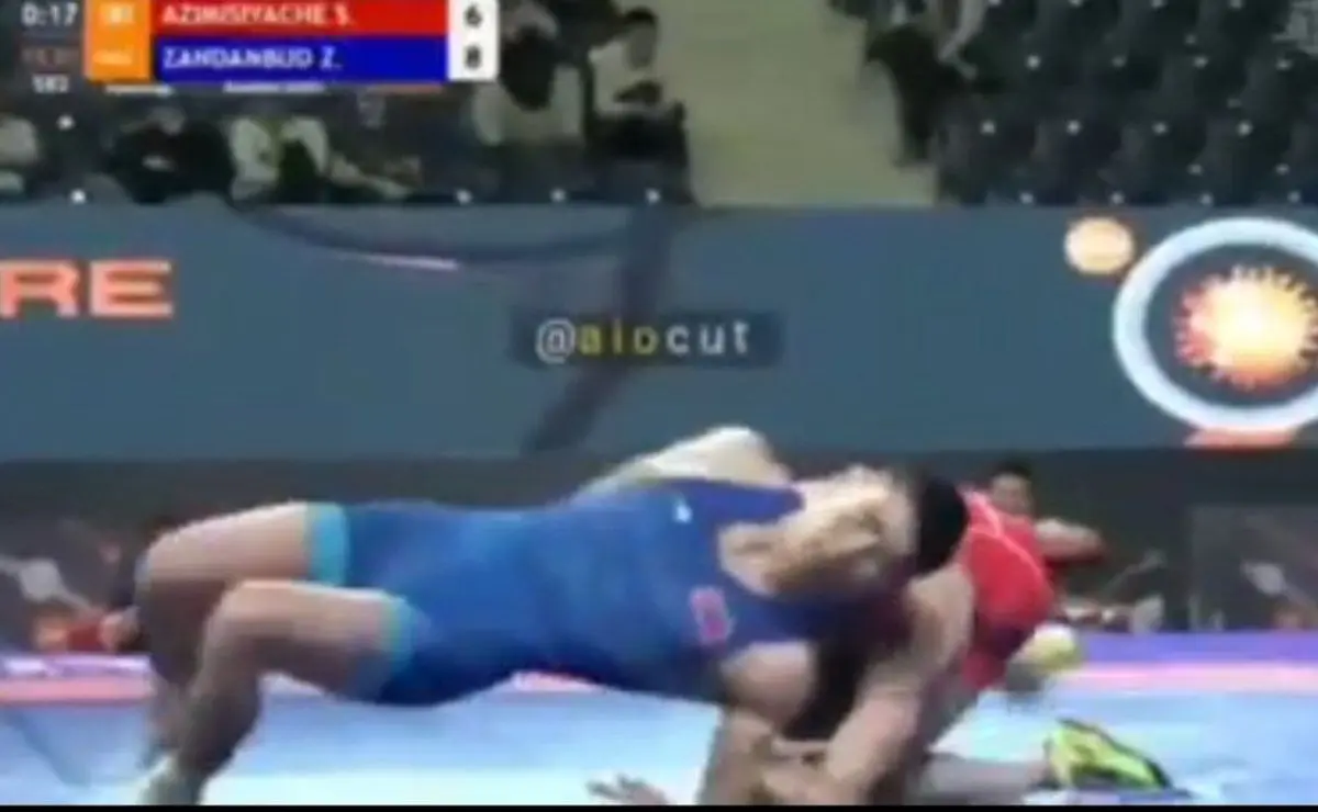 سنجاب پرنده کار دست آزادکار ایرانی داد!+ویدئو