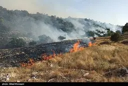  دستگیری عاملان آتش‌سوزی کوه خائیز