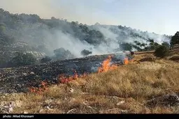  دستگیری عاملان آتش‌سوزی کوه خائیز