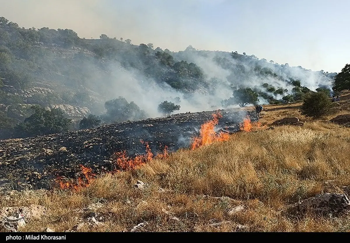  دستگیری عاملان آتش‌سوزی کوه خائیز