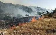  دستگیری عاملان آتش‌سوزی کوه خائیز