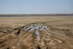 گاو خونی به آب رسید | خبر خوش برای اصفهانی‌ها
