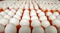  گرانی دوباره کالای اساسی در بازار  | قیمت  تخم مرغ دوباره گران شد