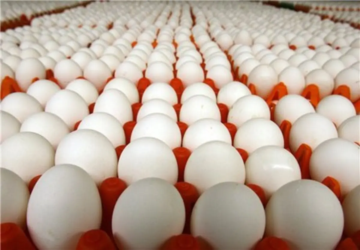  گرانی دوباره کالای اساسی در بازار  | قیمت  تخم مرغ دوباره گران شد