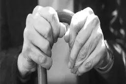 ایران پیر می‌شود / توصیه و اجبار هم فایده ای ندارد 