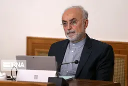صالحی: مراسم روز ملی فناوری هسته‌ای برگزار نخواهد شد