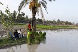 
تصمیم خطرناک مجلس |    بزودی شاهد خشک شدن کامل سفره‌های آب‌های زیرزمینی در ایران خواهیم بود؟
