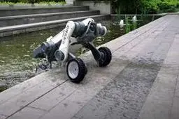 سگ رباتیک چینی ها وارد میدان شد | توانایی شگفت انگیز این ربات و پیشرفت هوش مصنوعی +ویدئو