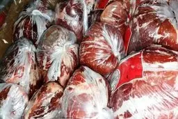 
 توزیع گسترده گوشت منجمد به نرخ دولتی آغاز شد