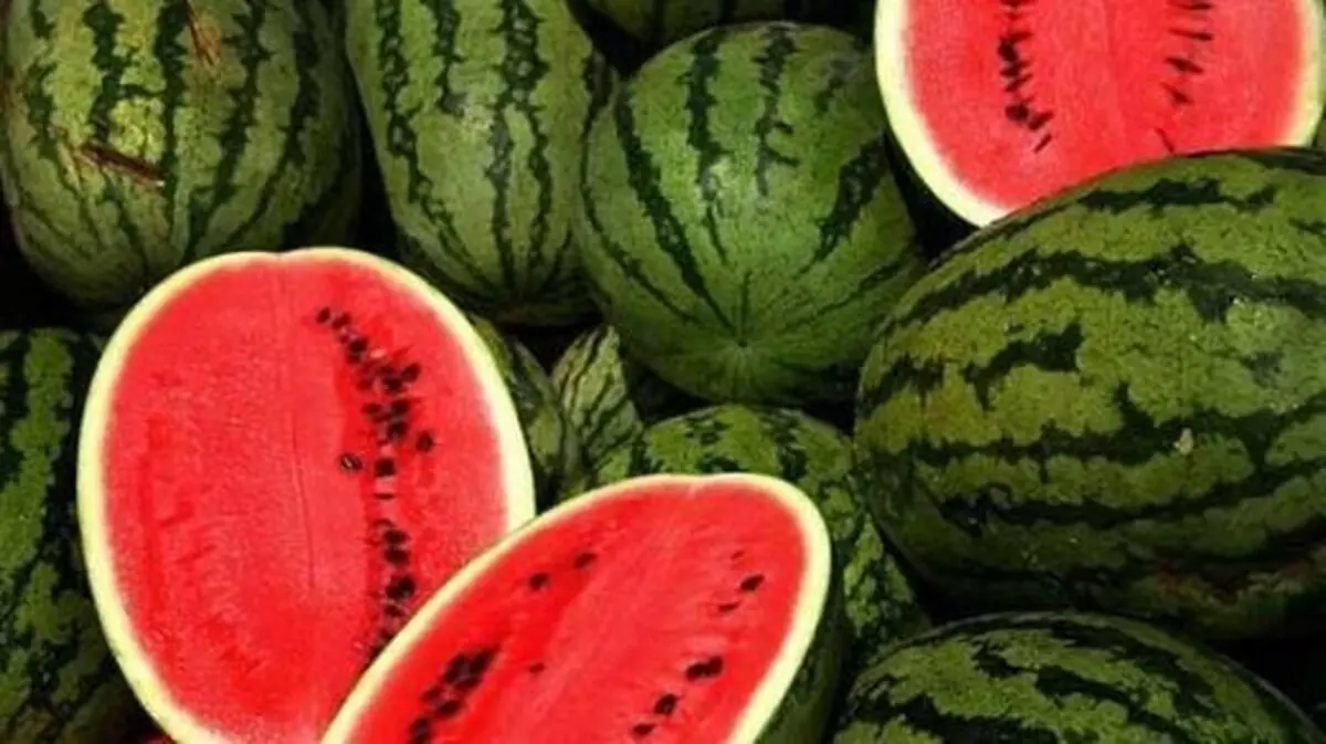 هندوانه به شرط چاقو نخرید 