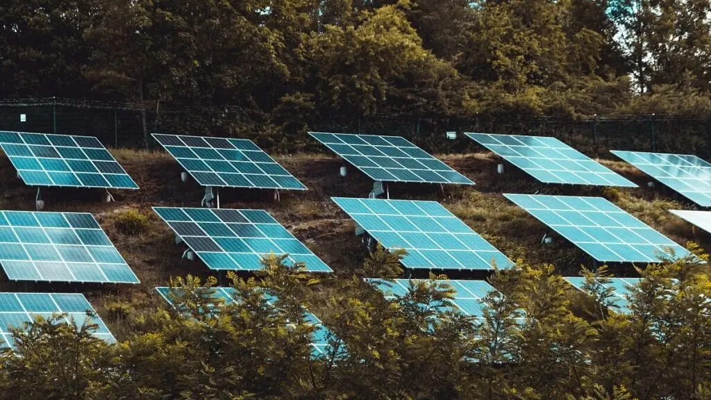 هزاران پنل خورشیدی در گورستان | گورستان‌ها به مزرعه خورشیدی تبدیل می‌شوند