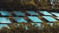 هزاران پنل خورشیدی در گورستان | گورستان‌ها به مزرعه خورشیدی تبدیل می‌شوند