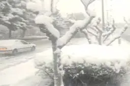 بارش سنگین برف در بجنورد, در آستانه‌ی بهار!+ویدئو