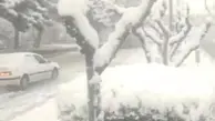 بارش سنگین برف در بجنورد, در آستانه‌ی بهار!+ویدئو