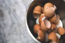  دیگه پوست تخم مرغ ها را دور نریز | خواص پوست تخم مرغ در زندگی روزمره 