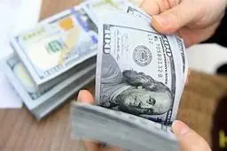 حذف نرخ نیمایی ارز چه معنایی دارد؟ | وقتی که مشخص می‌شود «کت تن کیست؟»