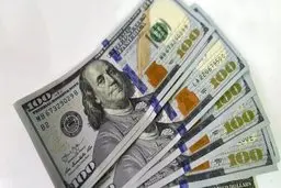  دلار پس از ۸ روز افزایشی پیاپی تن به کاهش داد.