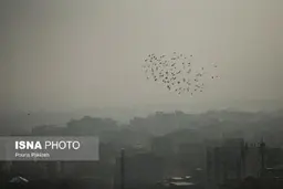 آلودگی هوا براحتی به داخل منازل رسوخ کرده