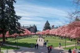 
کرونا به کدام دانشگاه‌ها بیشترین آسیب را وارد کرد ؟
