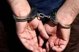 بازداشت 2 مرد که با جعل سند میلیارد شدند