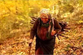 داستان زنی که ۵۵ سال با جنگل تنها بود | داستان زندگی اسرارآمیز عمه گلون در سوادکوه +ویدئو