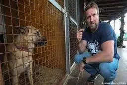 بریتانیا برای خروج ۲۰۰ سگ و گربه از کابل مجوز صادر کرد 