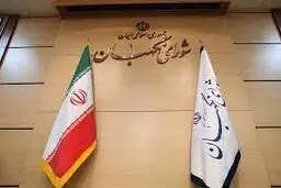 شورای نگهبان در سایر کشورها هم وجود دارد