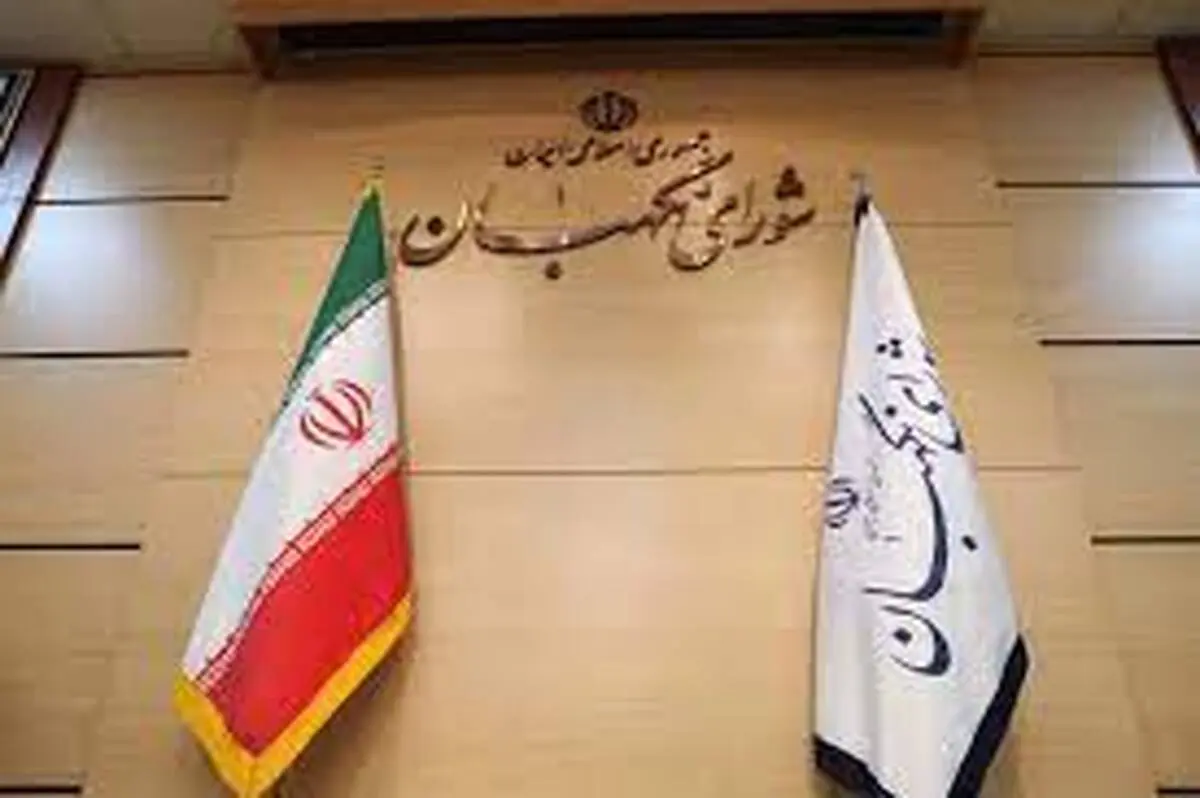 شورای نگهبان در سایر کشورها هم وجود دارد