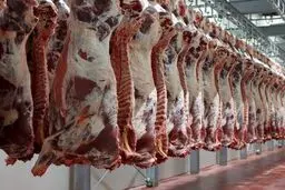 قیمت گوشت قرمز اعلام شد | شقه گوسفندی چند؟