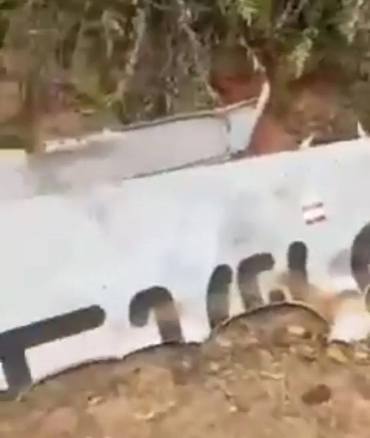 سقوط هواپیما در جنوب چین+ویدئو