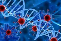 چه افرادی به لخته شدن خون مبتلا می شوند؟