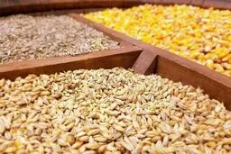 کشف ۱۱ تن نهاده دامی قاچاق و خارج از شبکه توزیع در ایلام 