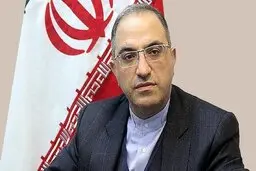 شاوردیان: نیروهای مسلح منافع کشور را در مرزها تامین می کنند
